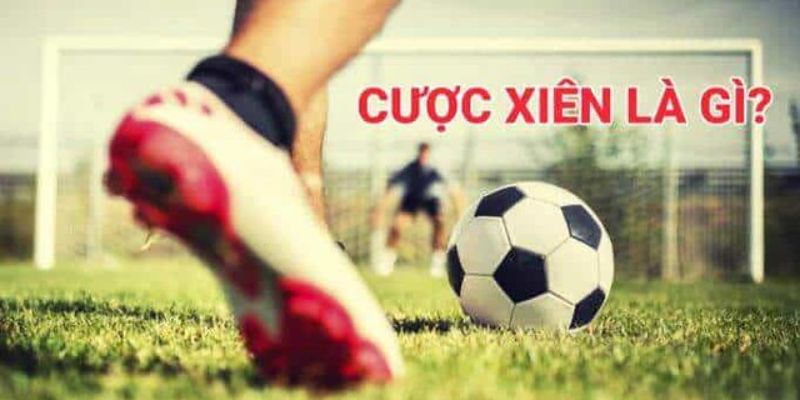 Chi tiết cược xiên chiến thuật